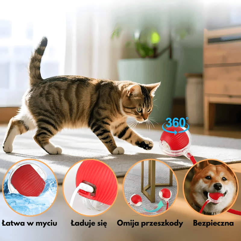 SmartBall - interaktywna piłka dla kota